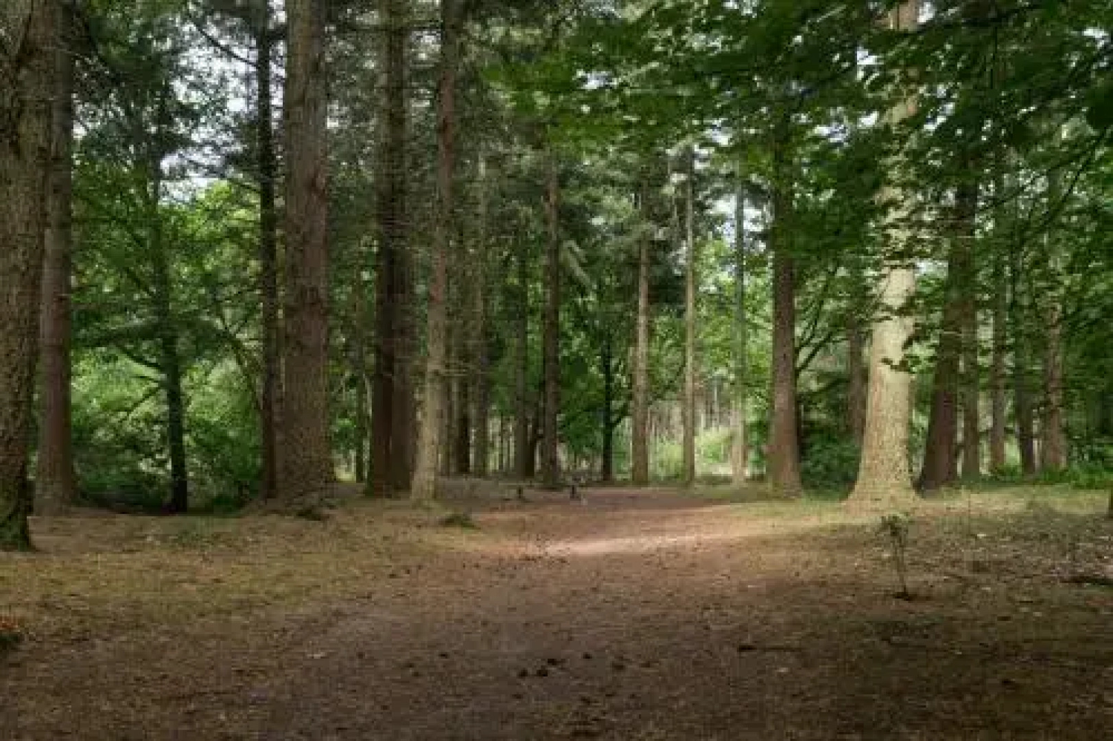 Bungalowpark Vogelenzang