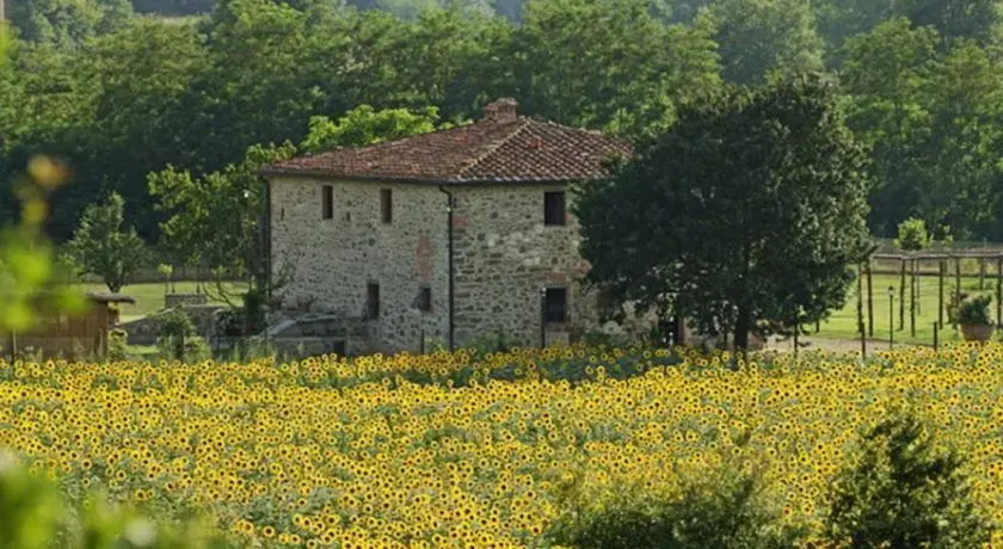 Villa Chianti
