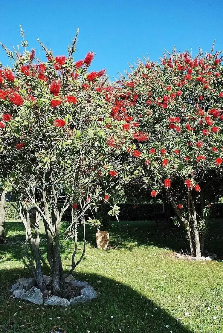 Residence Il Caminetto