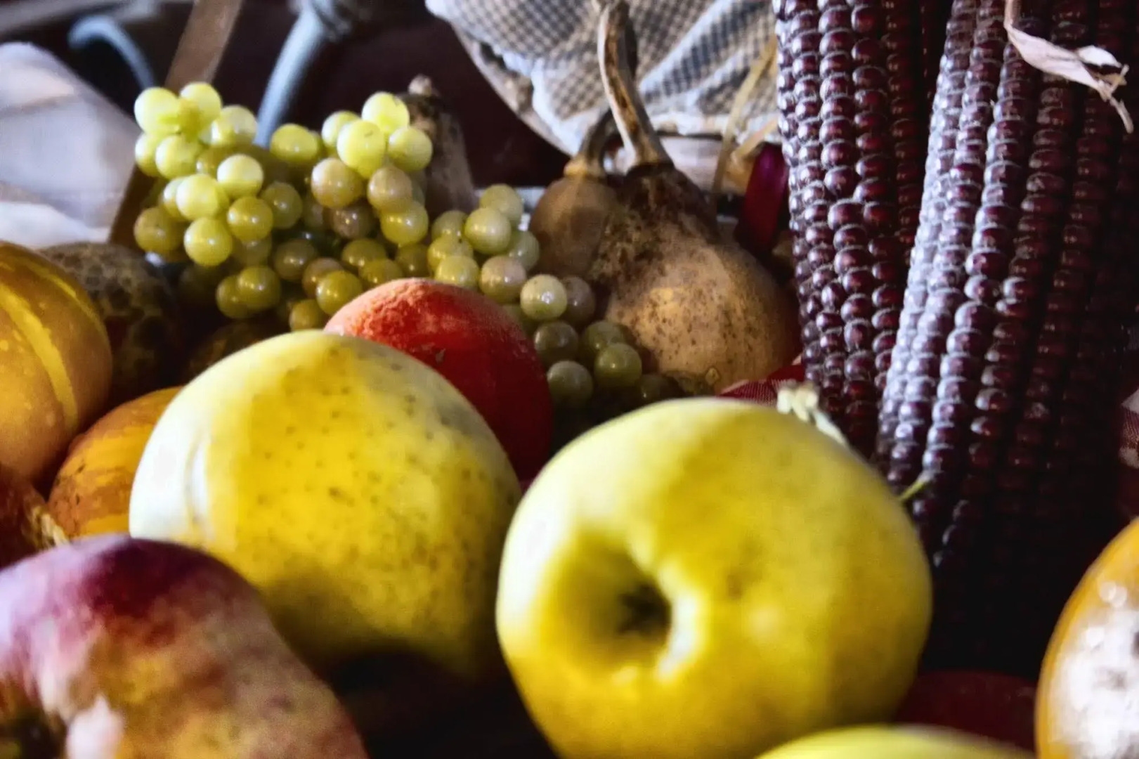 Apartamentos Rurales L'Arquera