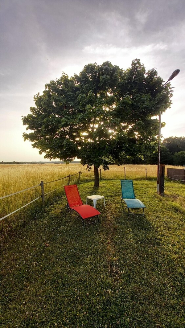 Le Relais D'eugénie: Maison D'hôtes en Forêt D'orléans