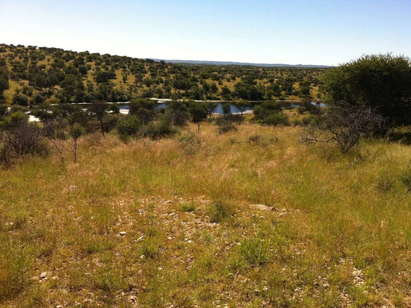 Leopard Lodge