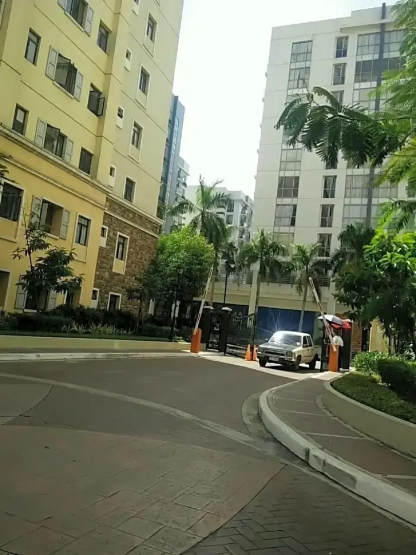 Palm Tree - Genlex Condominium