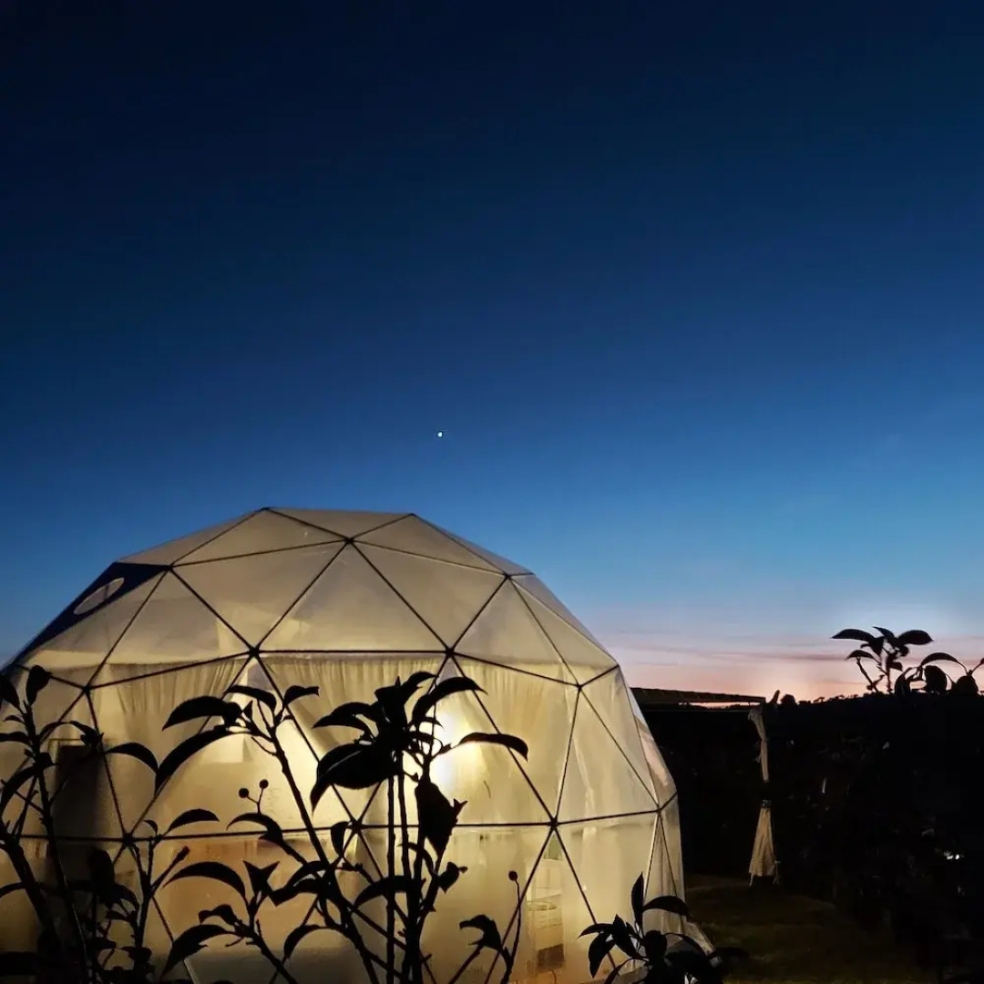 Glamping Skies