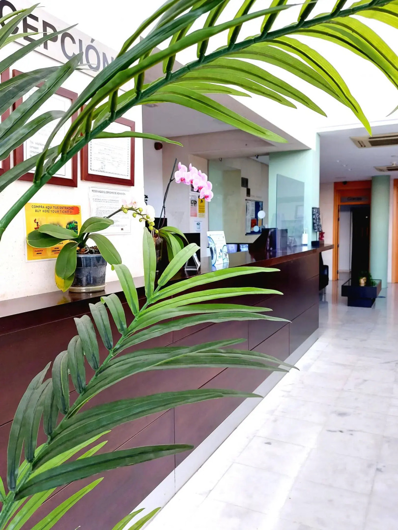 Domo Center Apartments