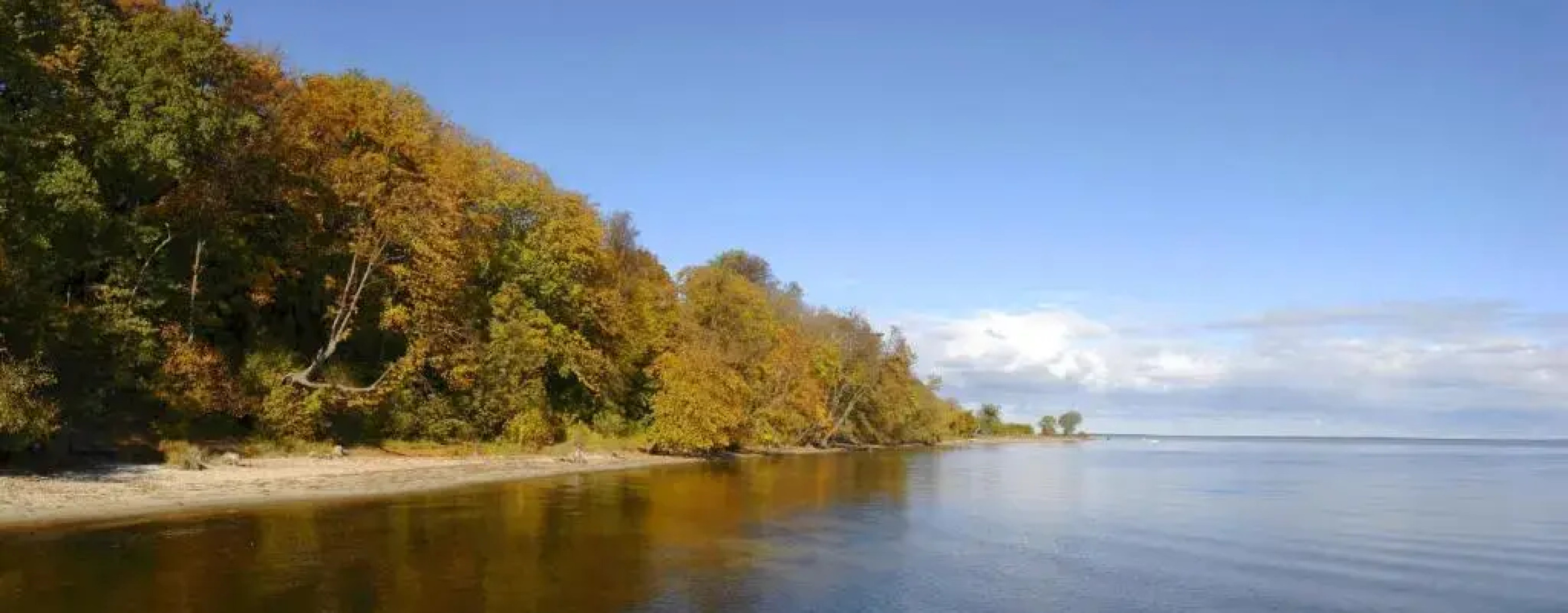 Zamek Jan Sobieski III