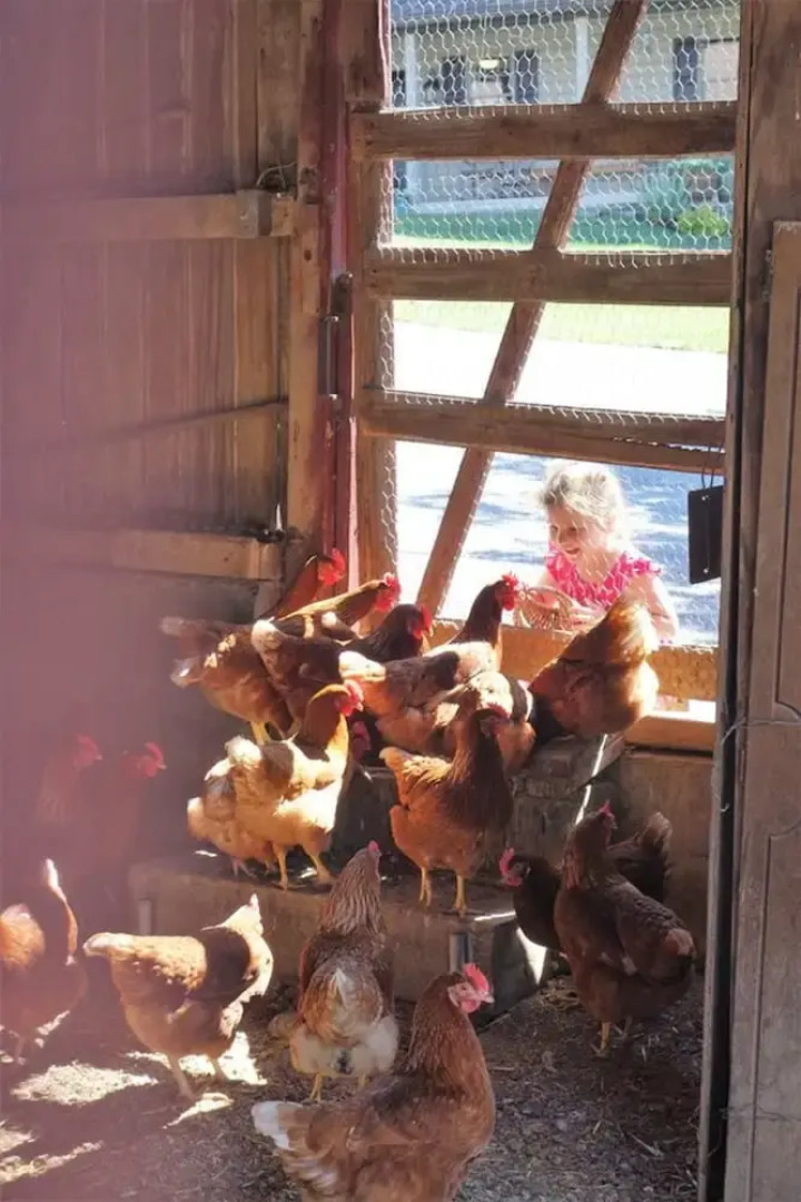 Country Log House Farm Bed and Breakfast