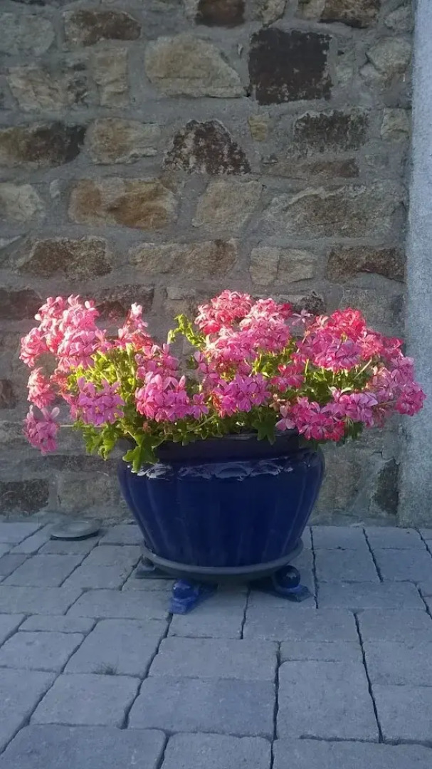 Les Ecuries de Bel Air