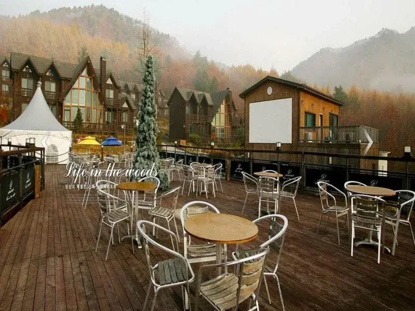 Chalet Resort