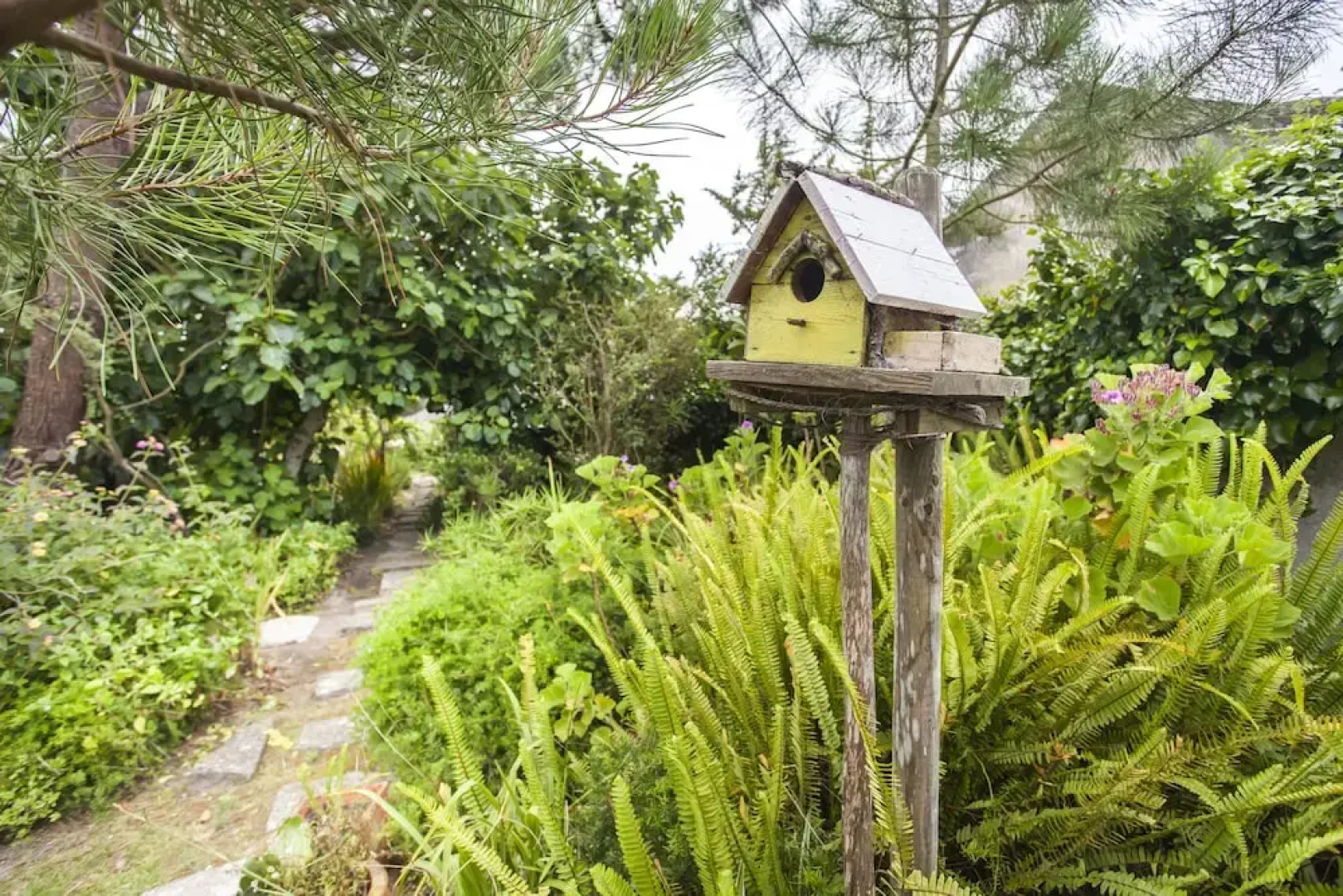 Beautiful Country House&Romantic Garden