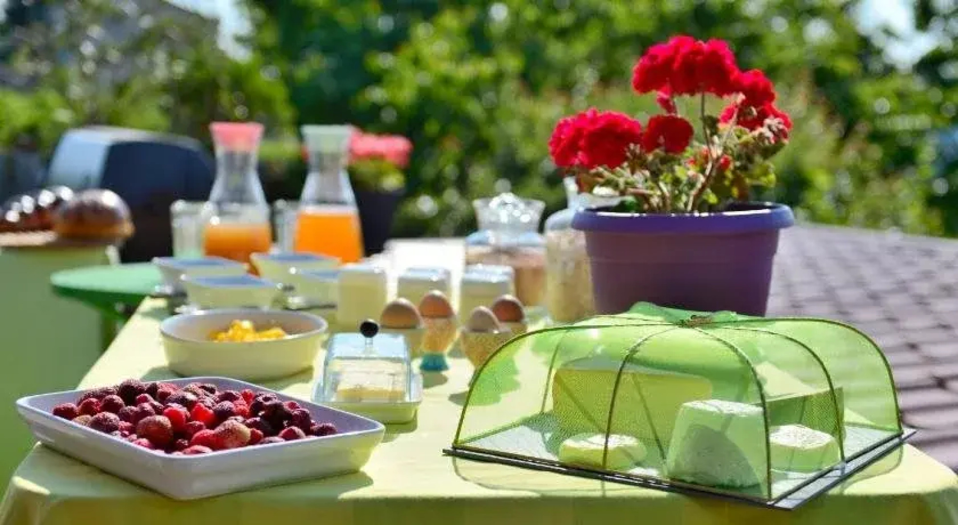 Cabane dans les arbres / Swin-golf de Cremin