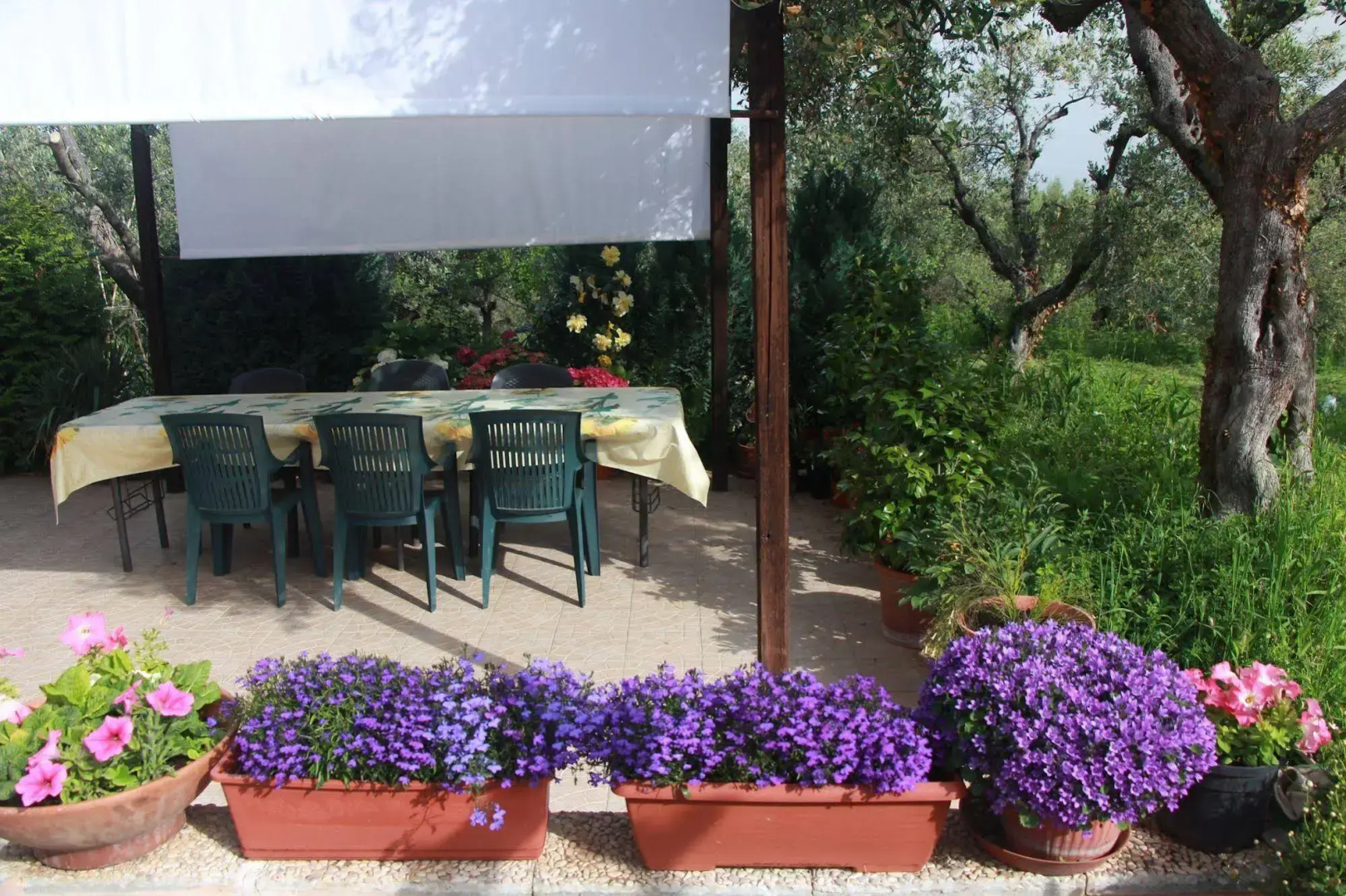 B&B La Terrazza Di Frascati