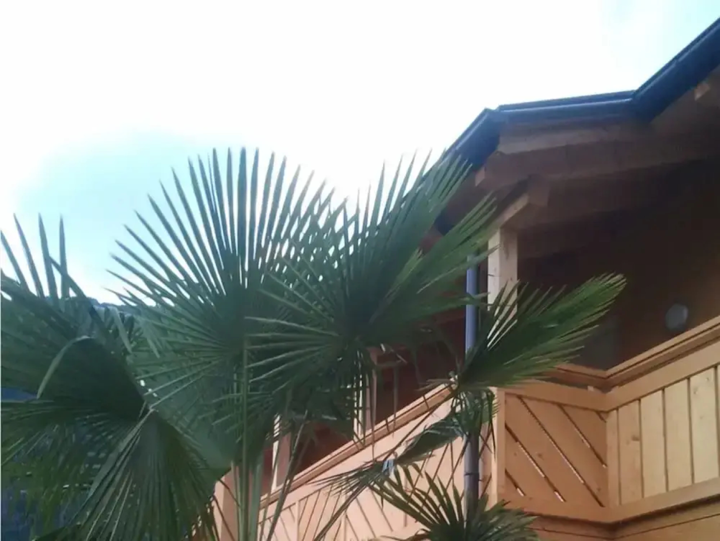 Magdalena at the Urbanhof