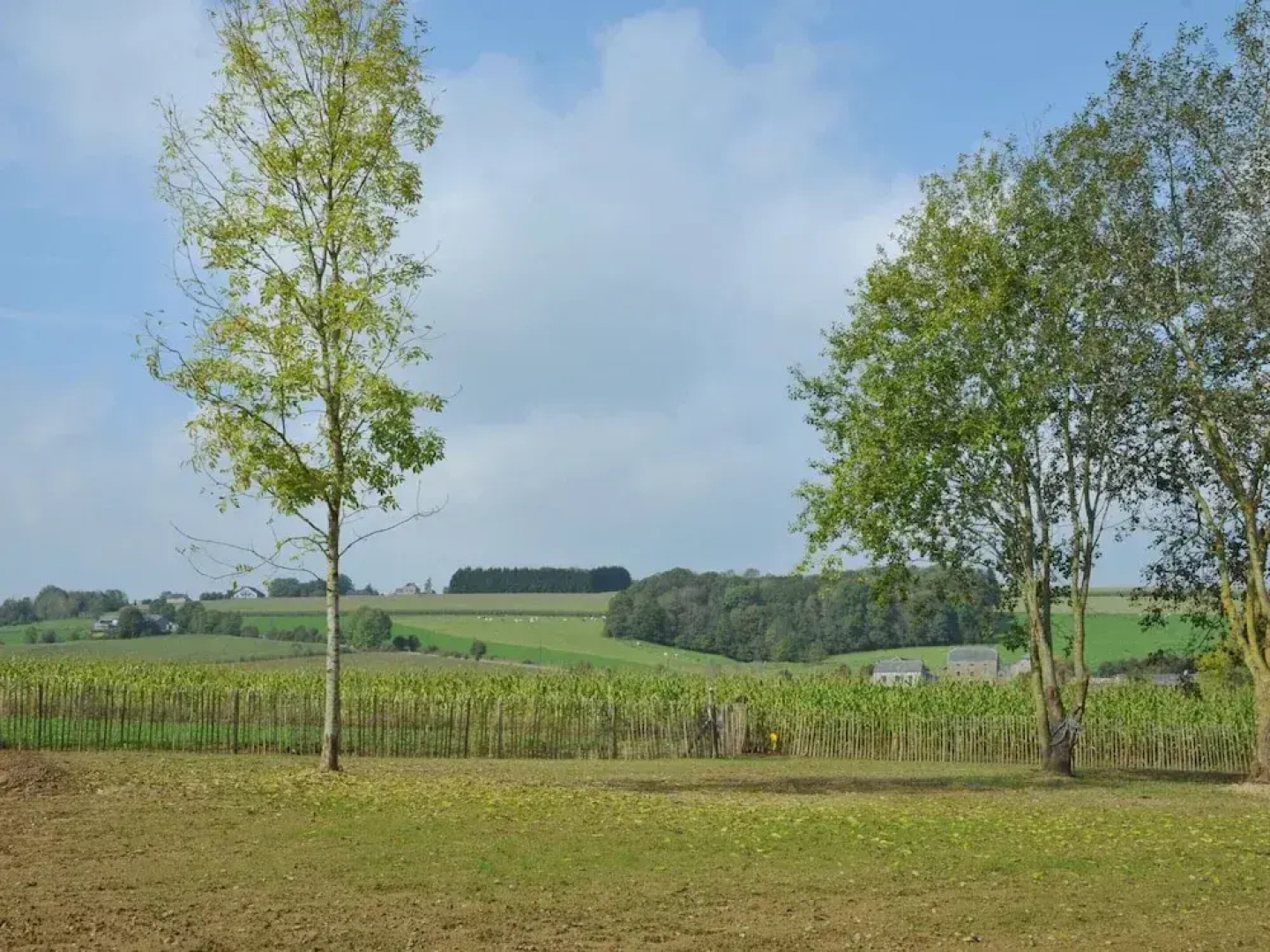 Holiday Home in Somme-leuze With Pool & Sauna