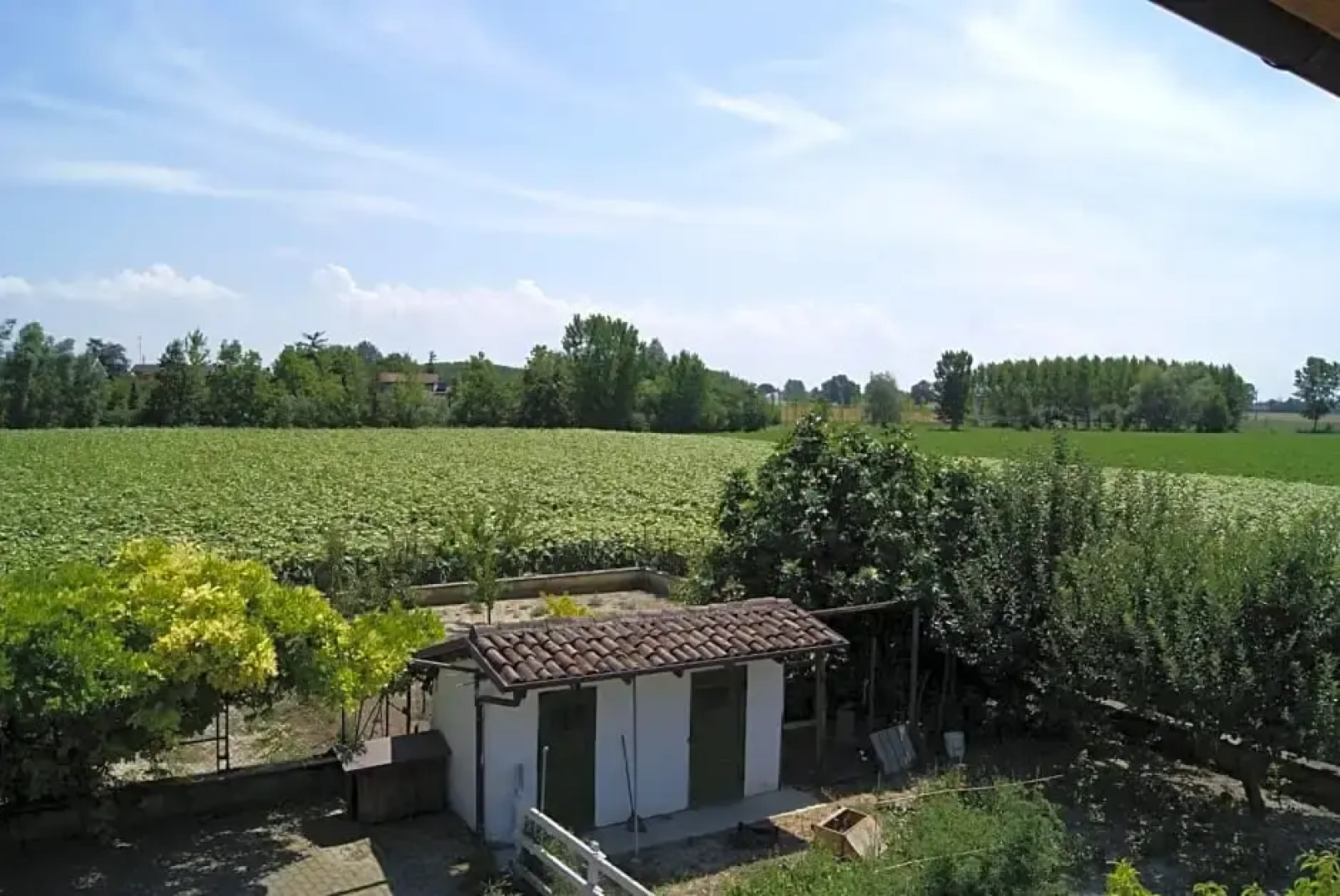Antico Pioppo
