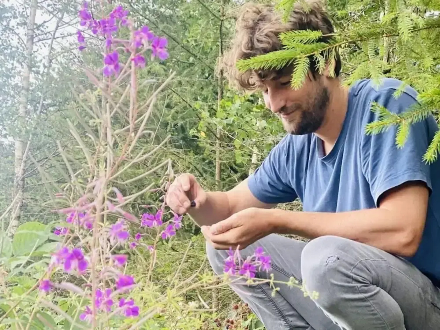 Panoramic View of Lake Harz