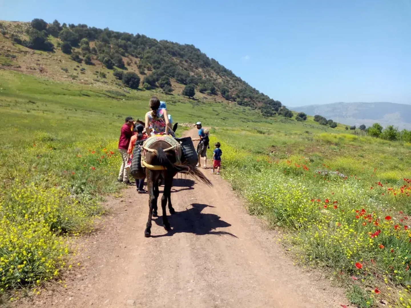Maison D'Hotes Ait Bou Izryanne