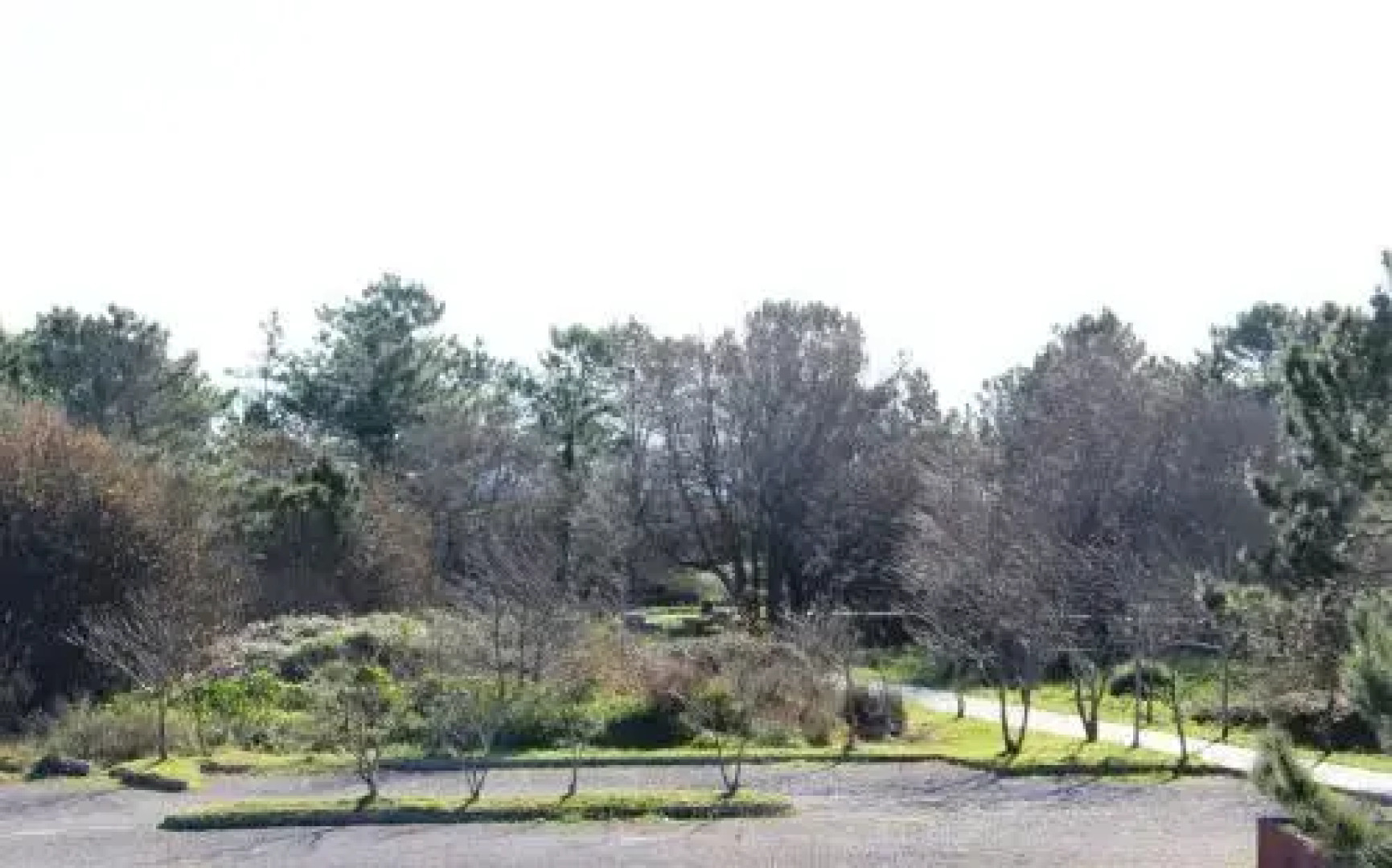 Apartamento Langosteira