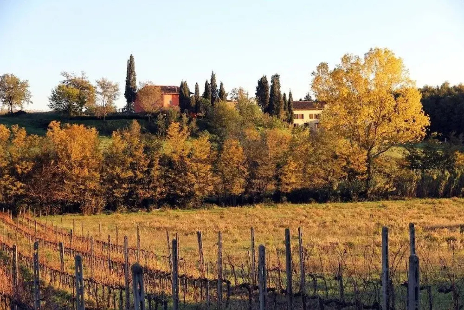 Romignano wine farm