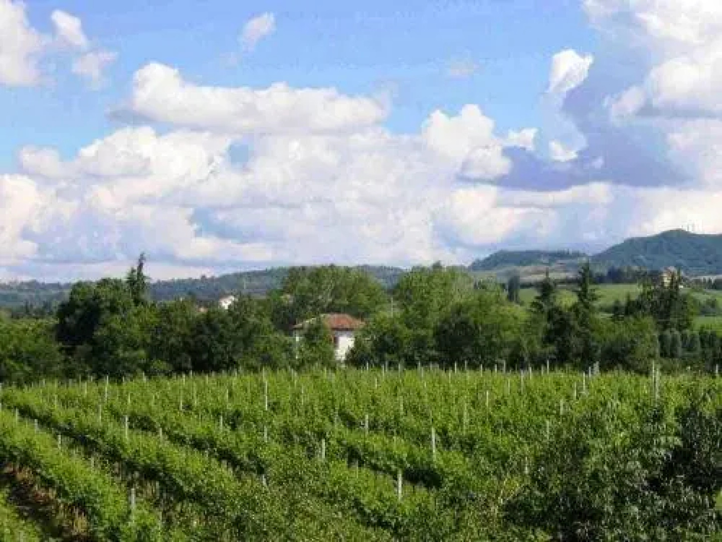 Agriturismo La Roverella