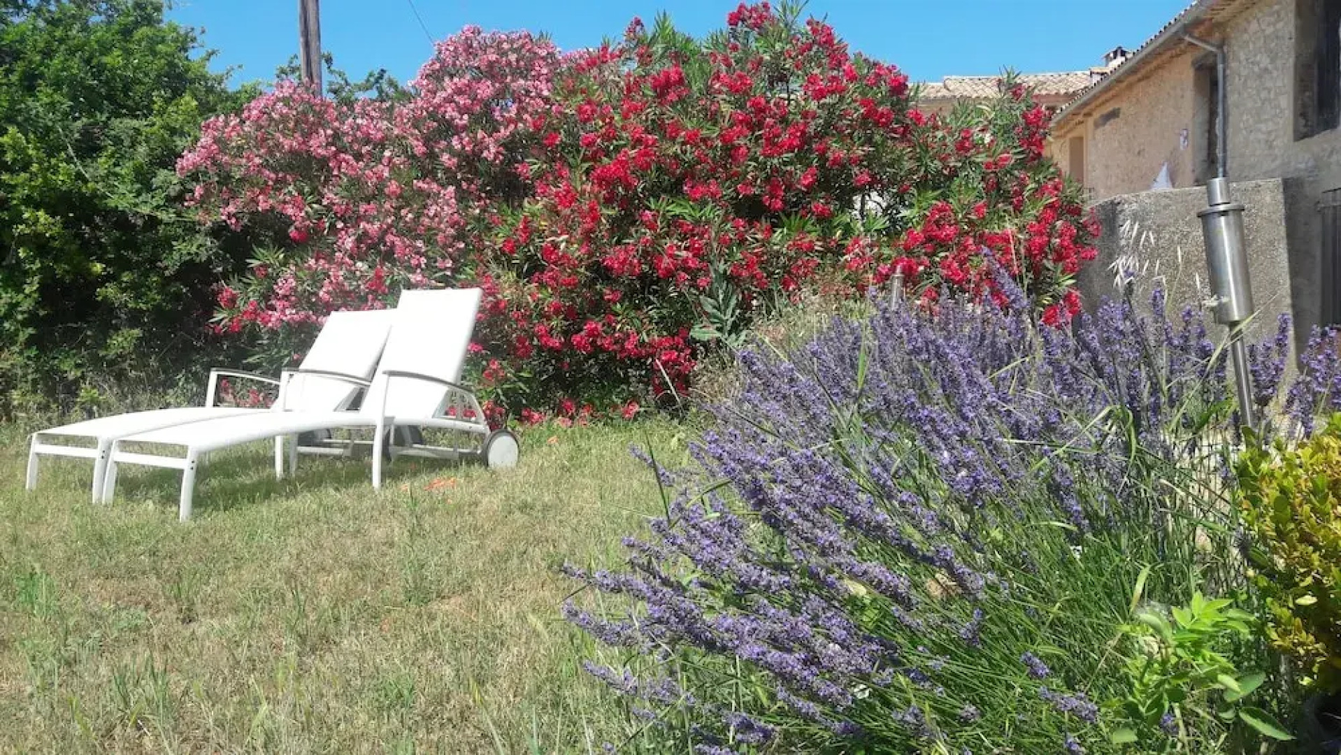 Organic Provence - Chambre d'hôte