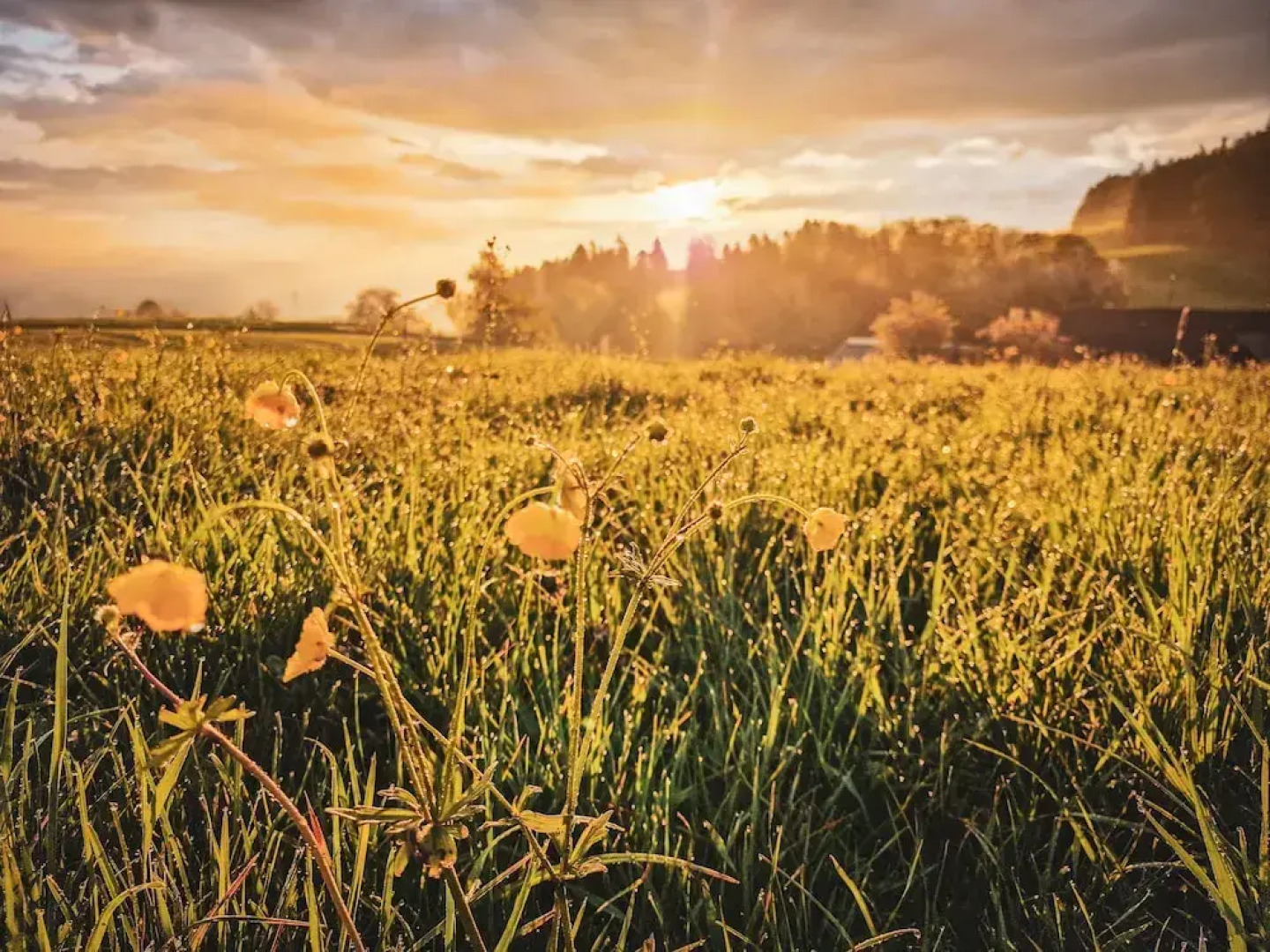 Romantik Hotel Bären