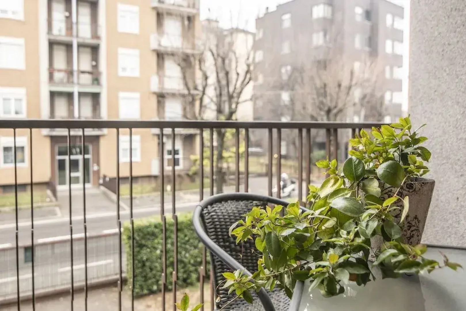 Residenza Miola S.a.s.