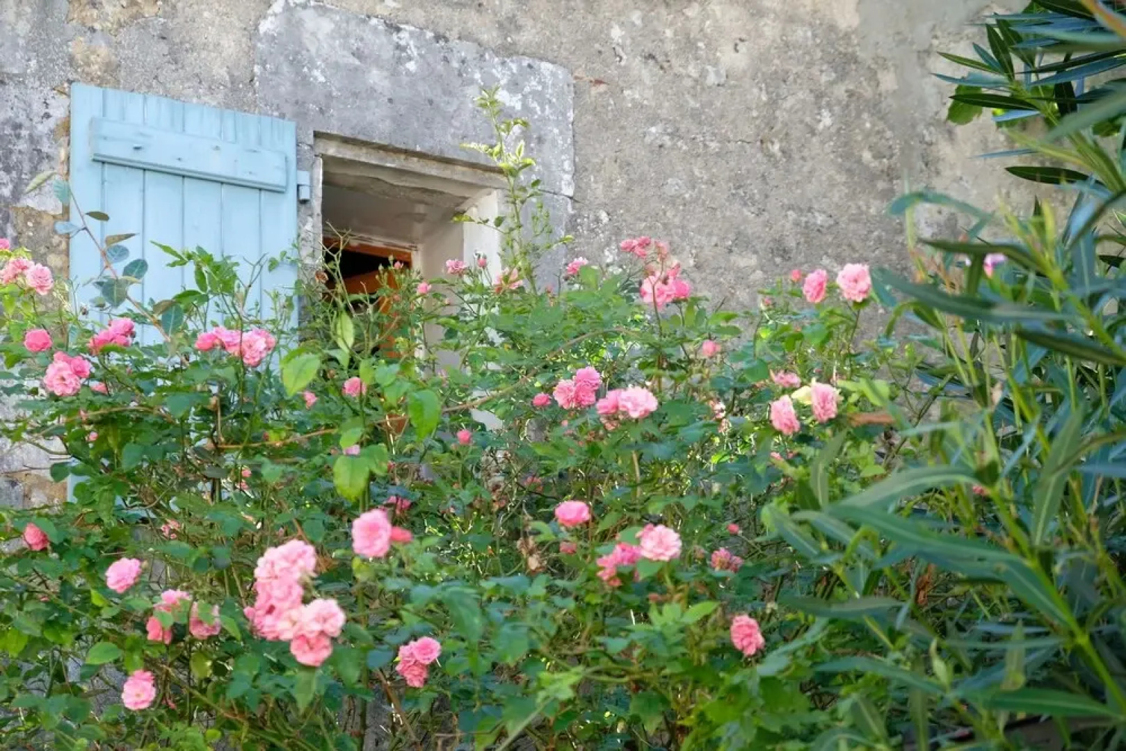 Chambre d'hôtes Les Lauriers Roses