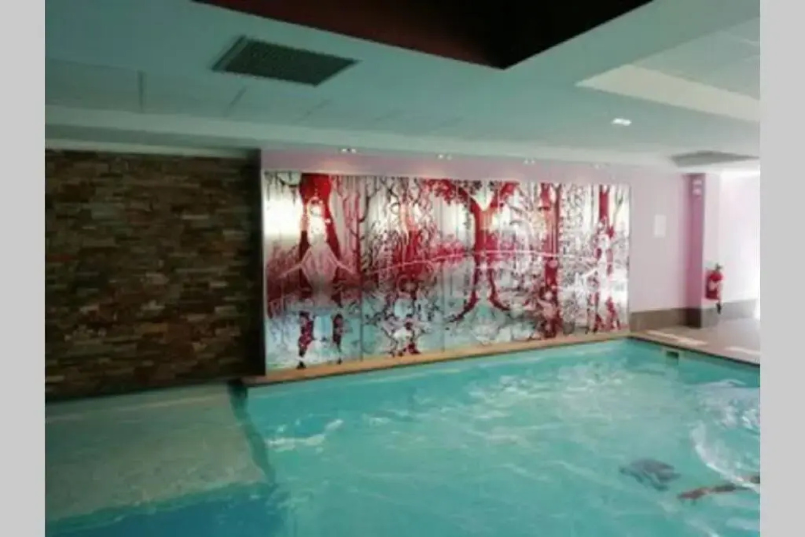 Antarès. duplex 48m2, piscine, sauna, à côté piste