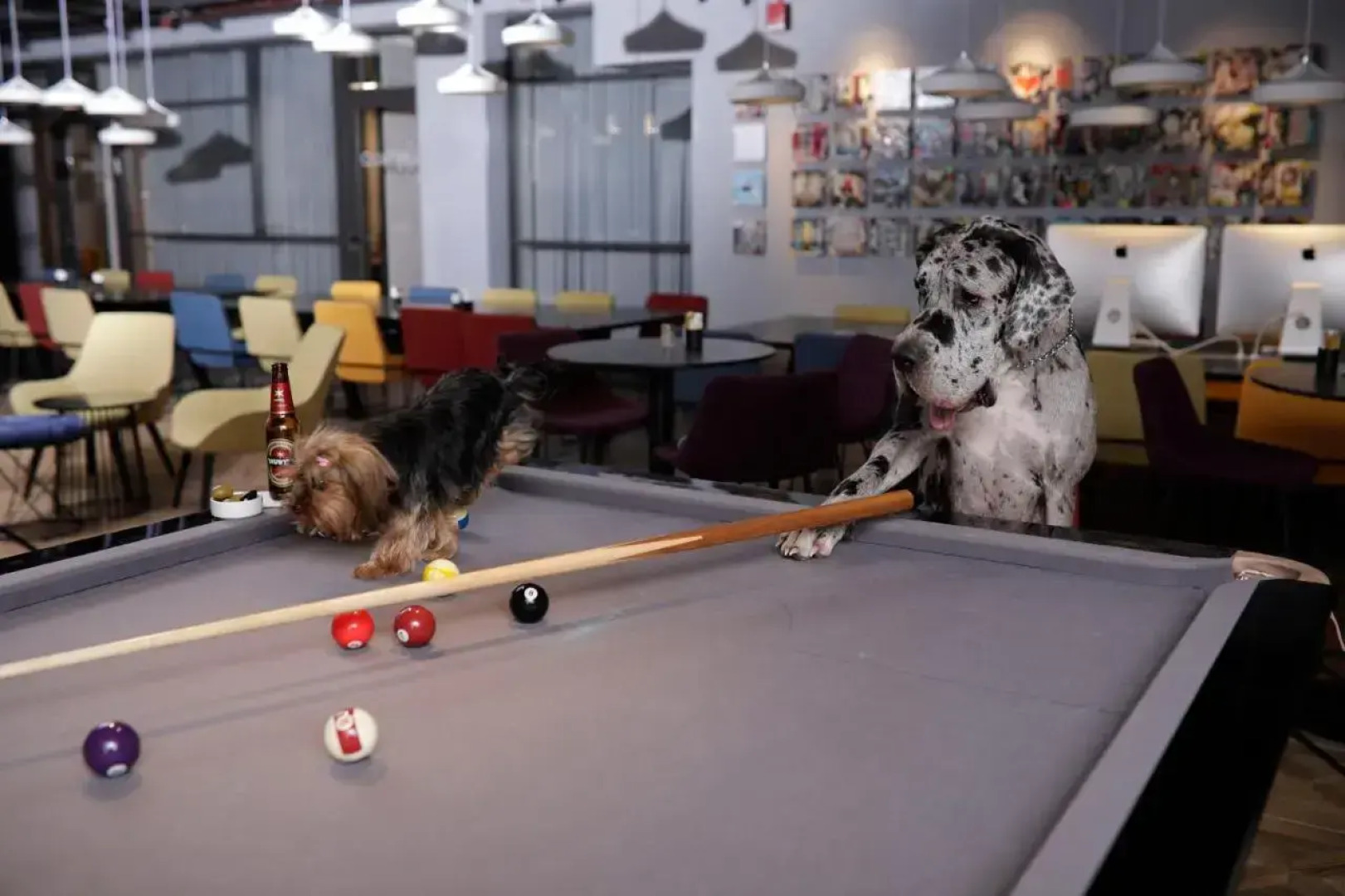 Link hotel & Hub By Dan Hotels