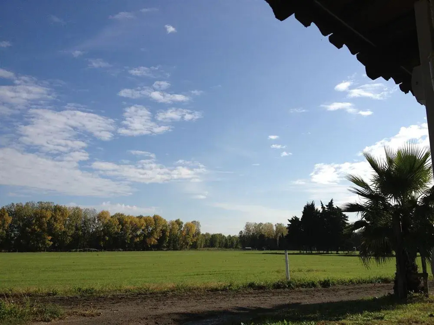 San Marco Montpellier Polo