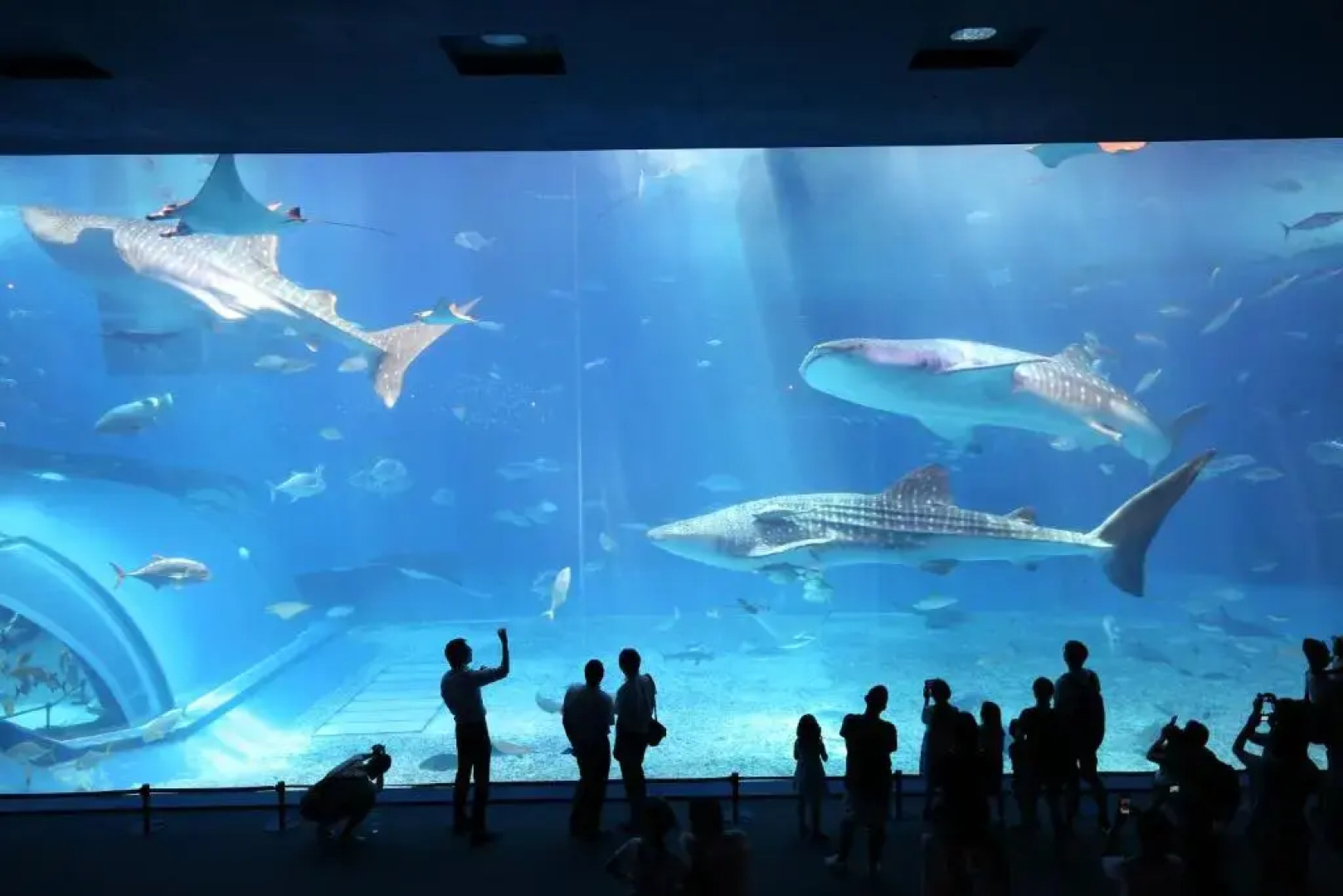 Condominium Uminchu No Yado