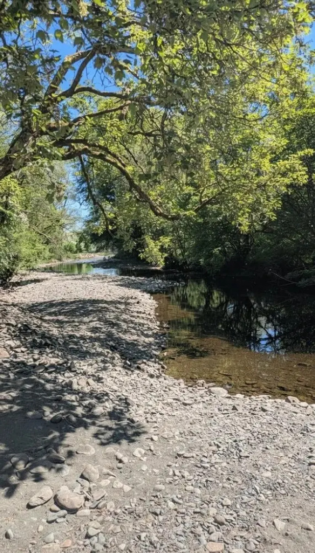 Tranquil Cabin Retreat- Sleeps 2, Parking