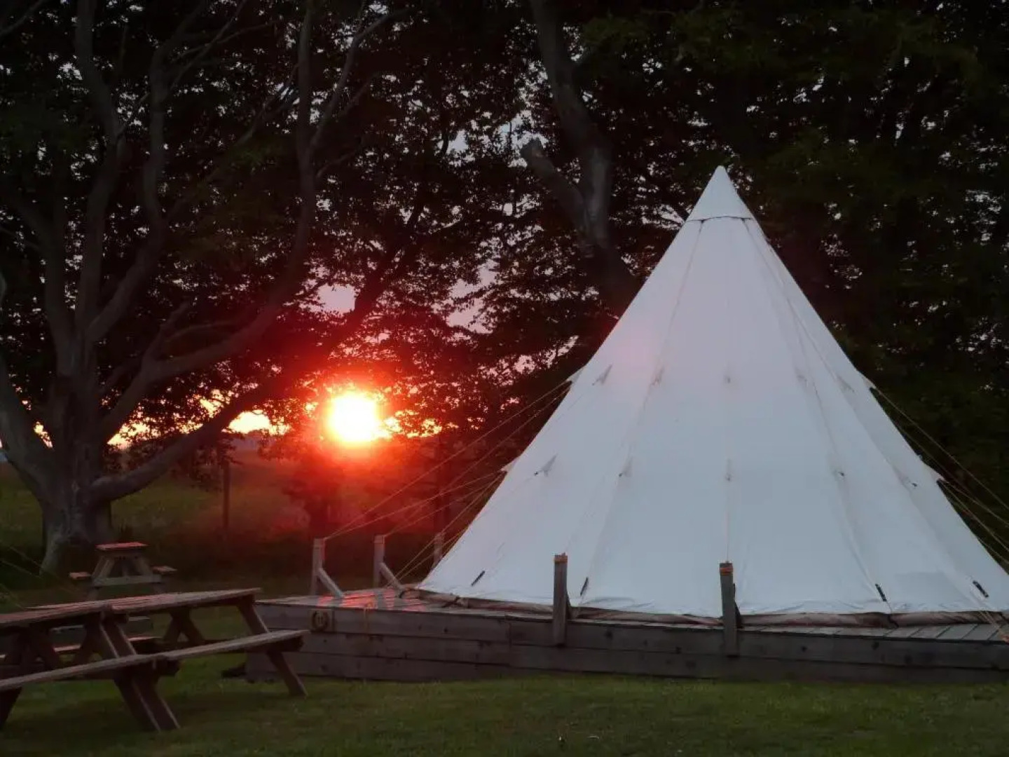 Pinewood Park-Tipis Hot Tubs And Lodges
