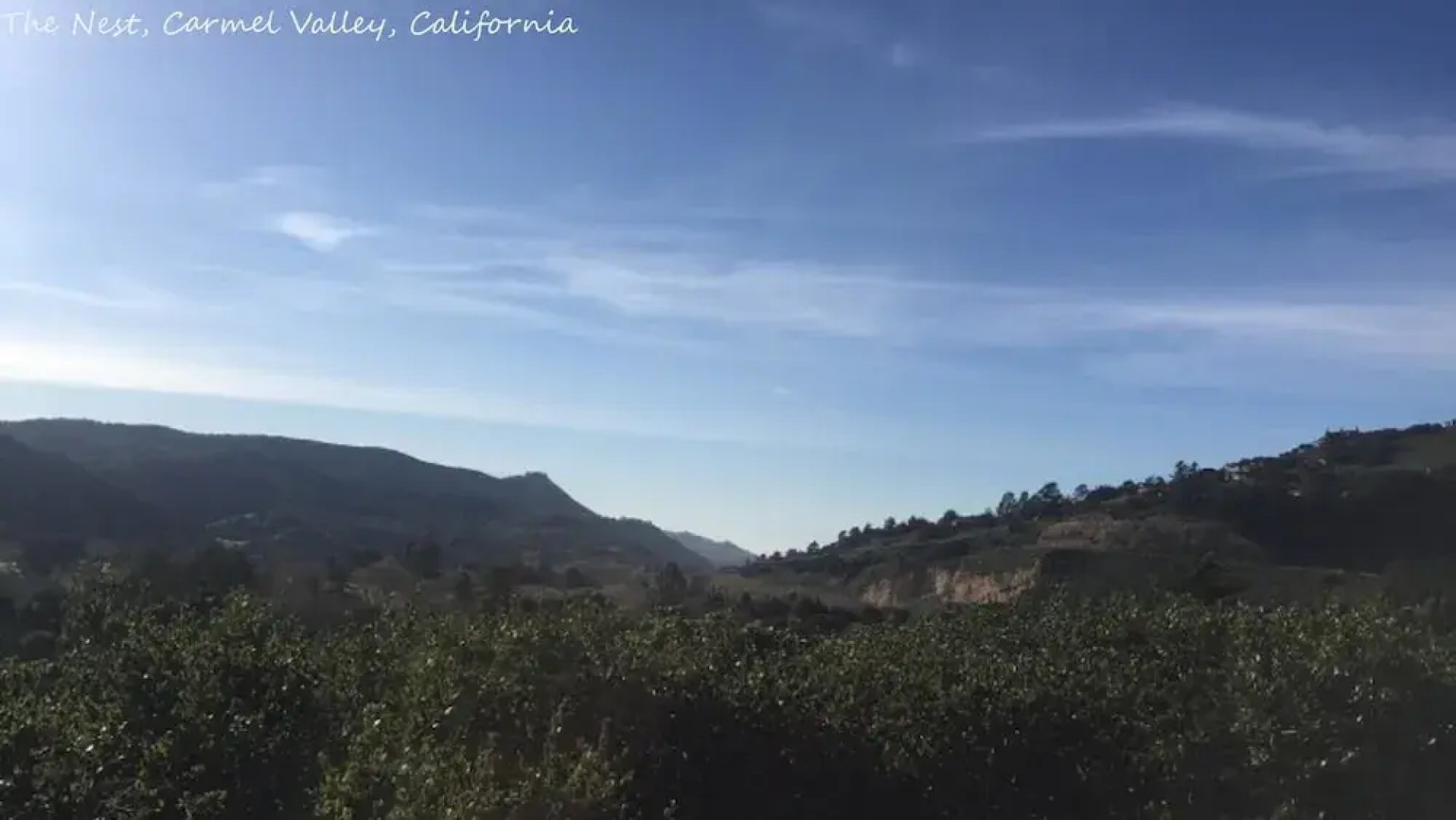 The Nest in Carmel Valley