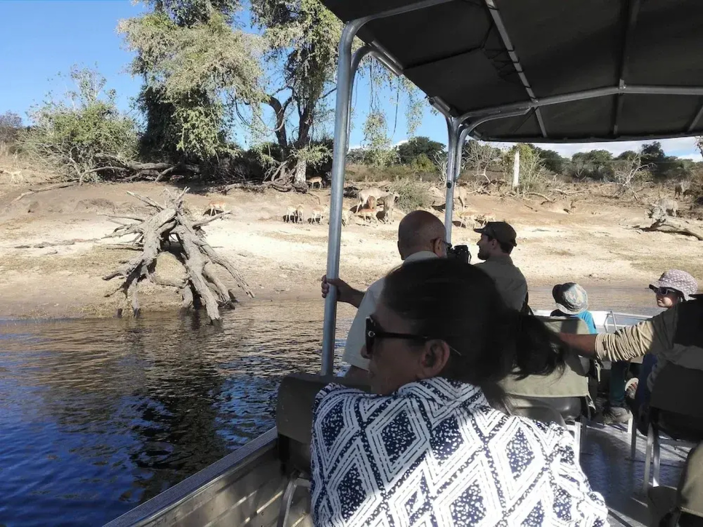 Chobe Sunset Chalets