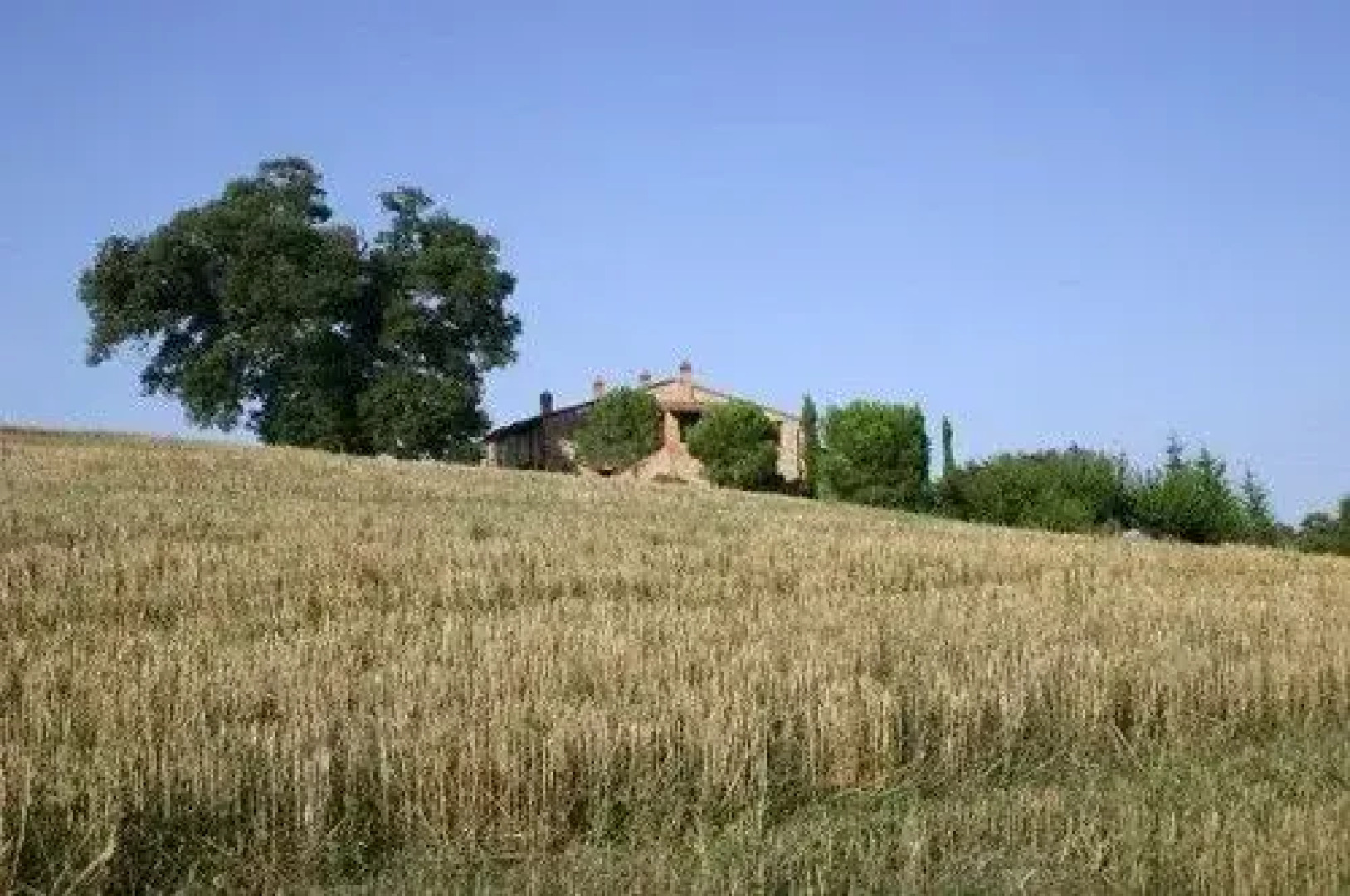 Tenuta Il Casone