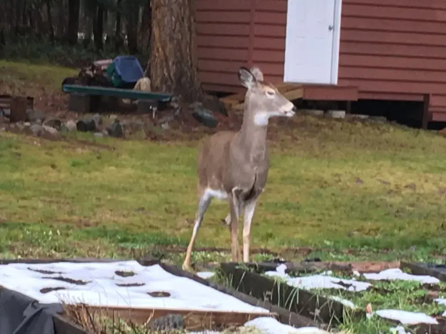 Valley Hideaway Guest House
