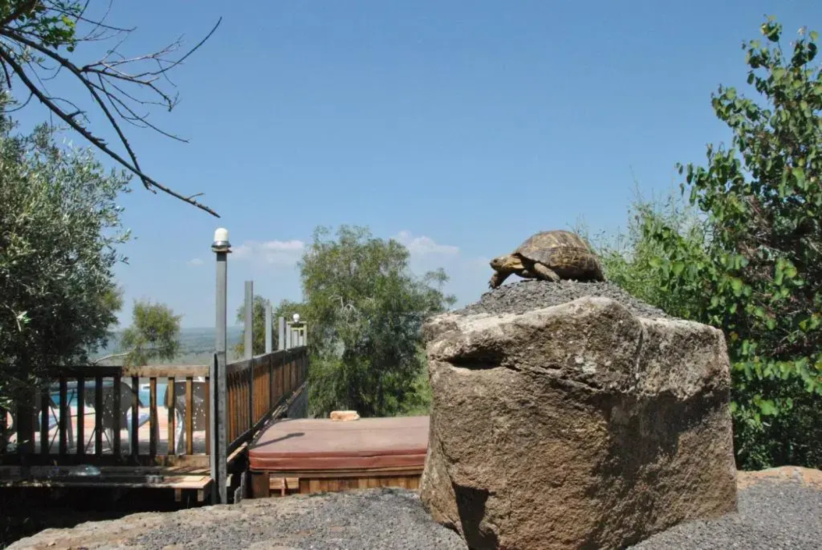 wooden Edge Of The Village