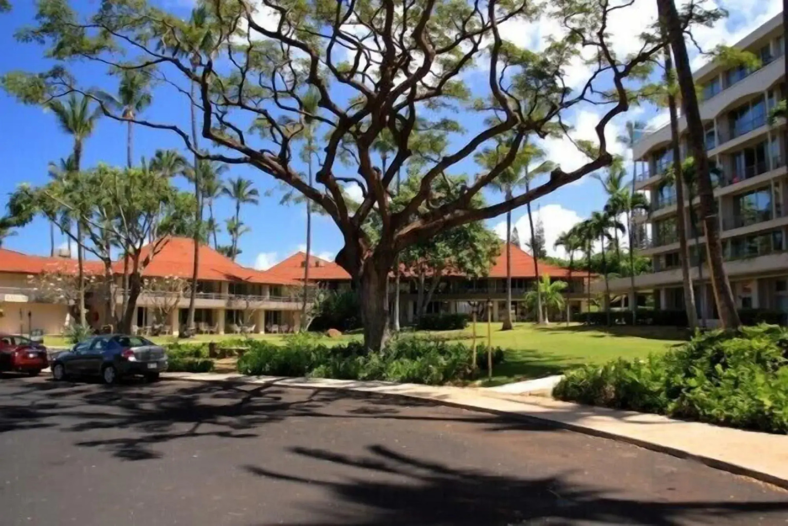 Maui Kaanapali S #b133 Studio Bedroom Condo by RedAwning