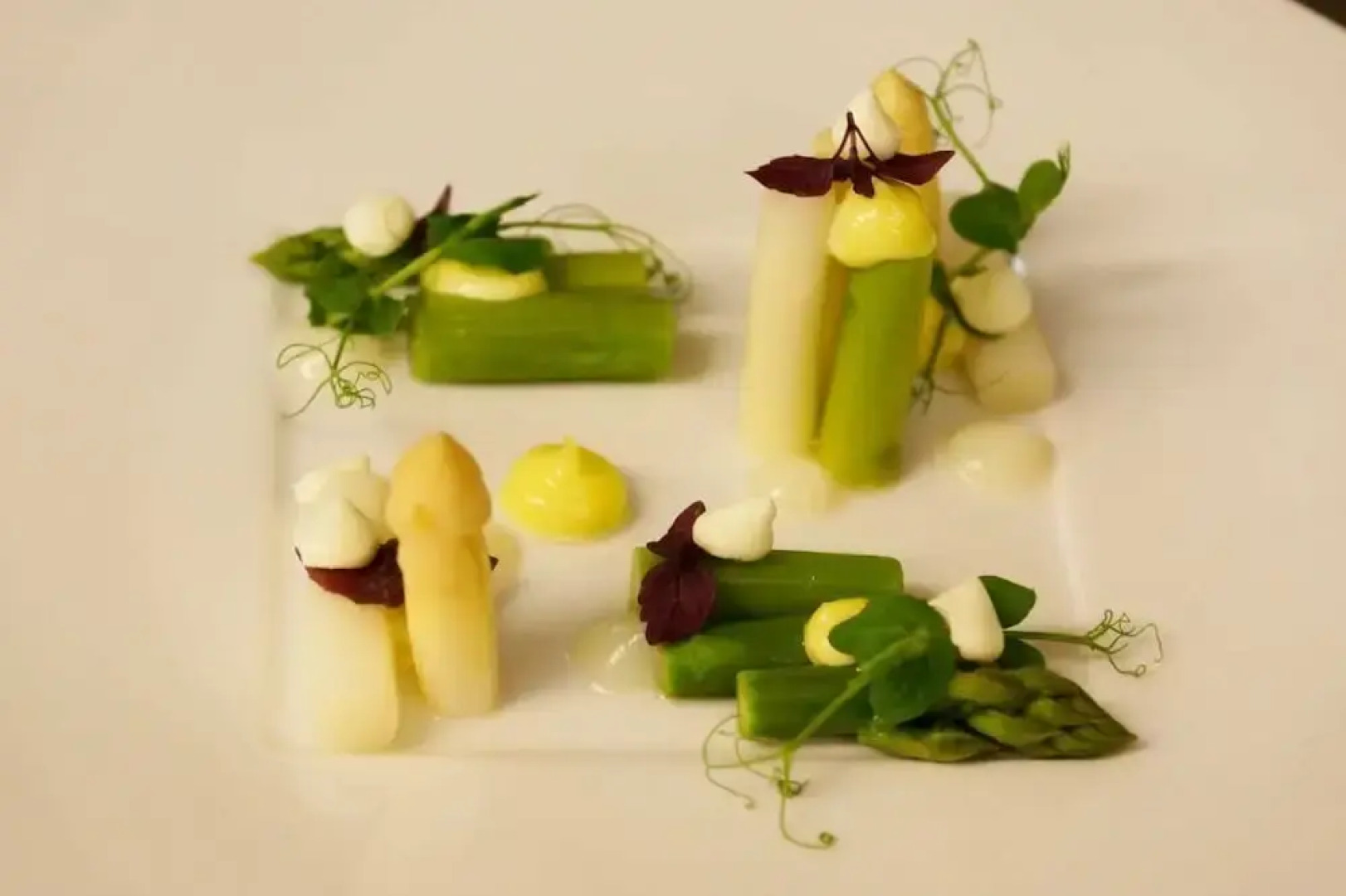 Walk´sches Haus - Hotel & Restaurants