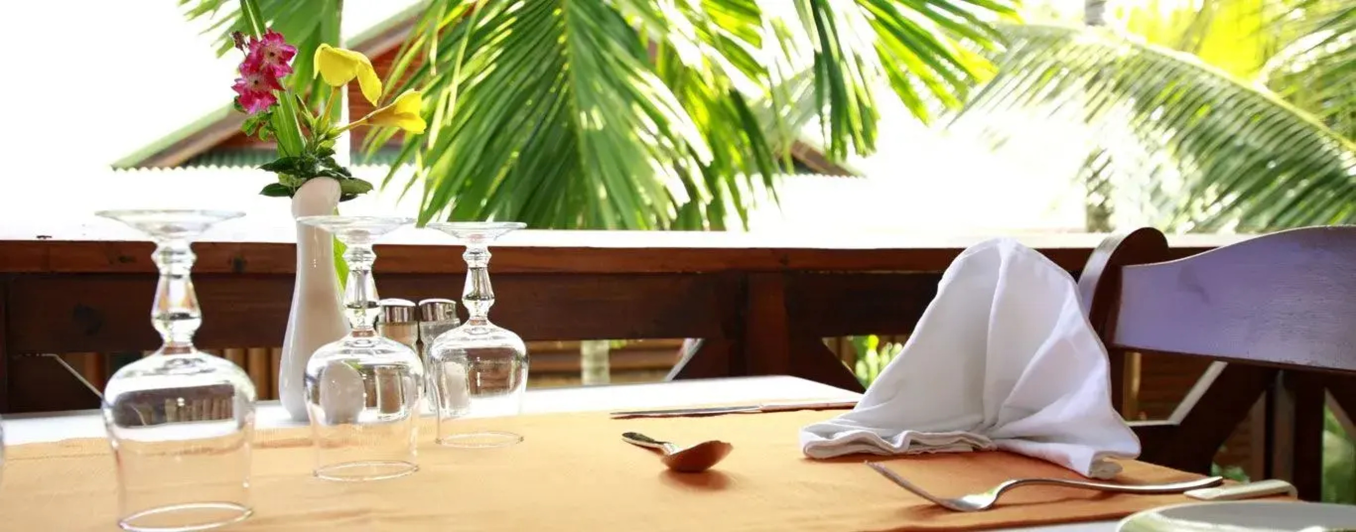 Le Jardin Des Palmes