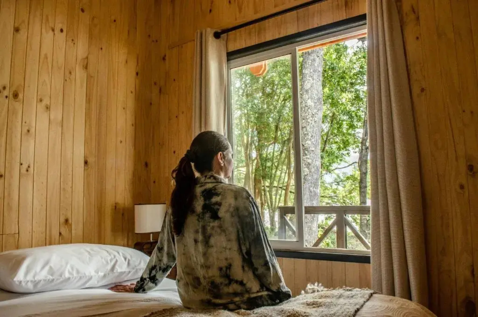 Cabañas Parque Michimahuida