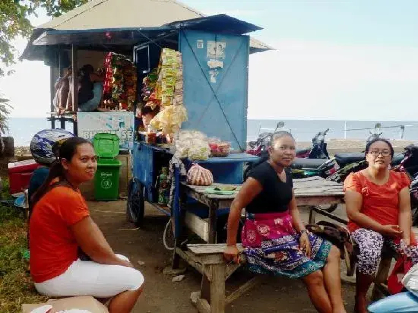 Saraswati Holiday House