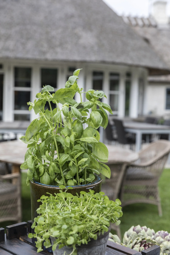 Havgaarden Badehotel