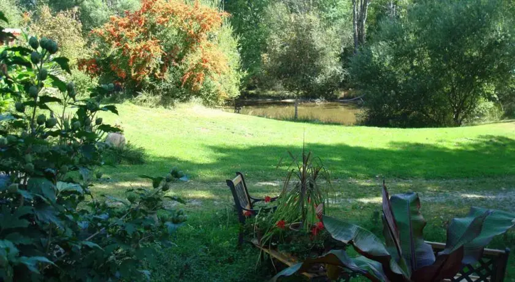 LAirial aux Châtaignes