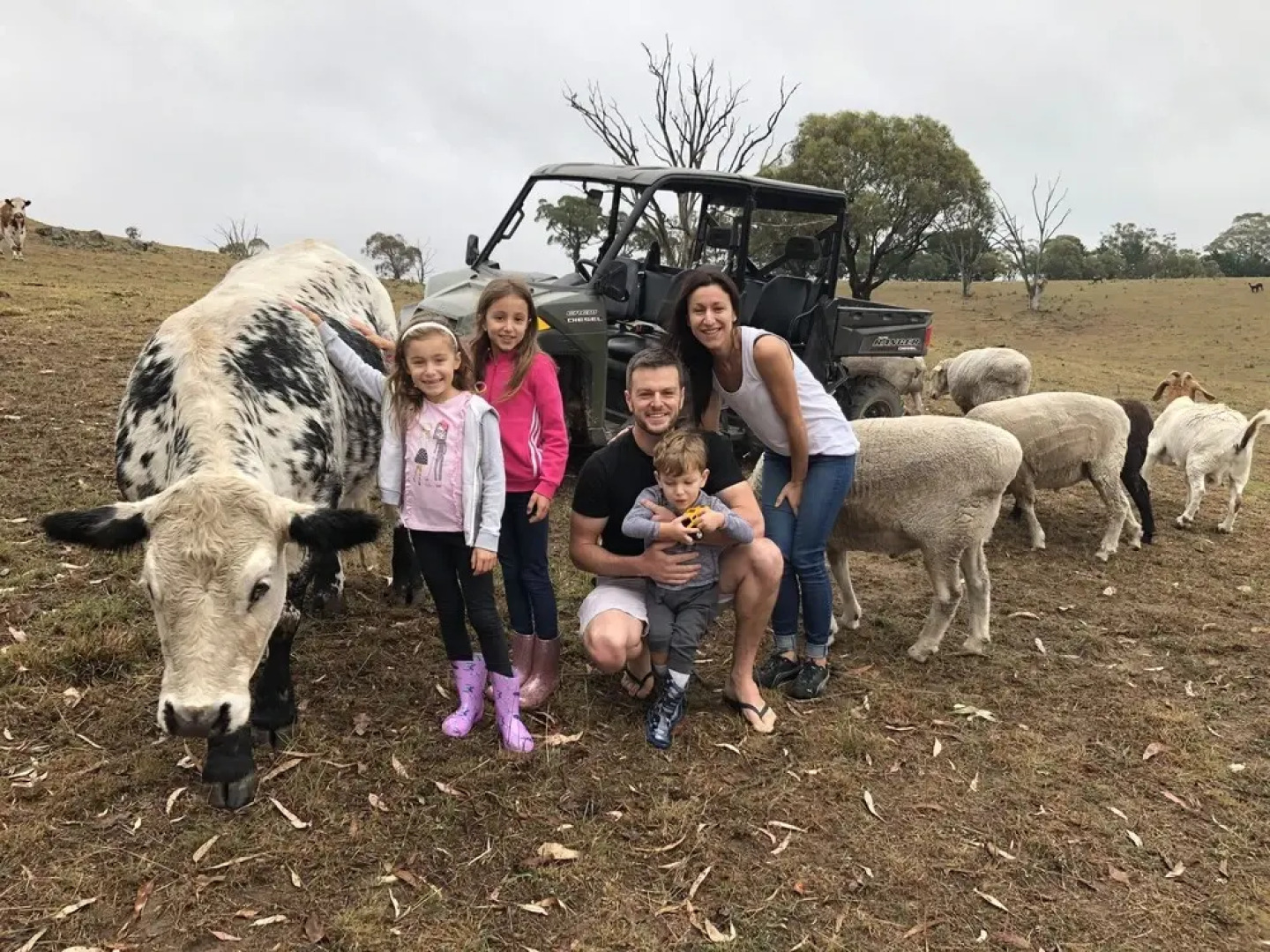 High Country Trail Rides & Farm Stay