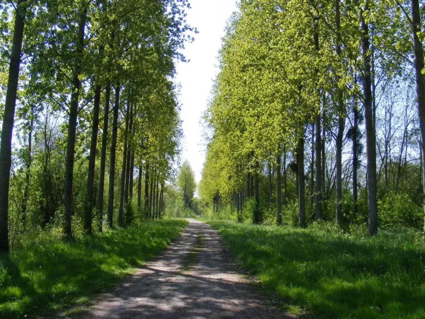 Chambres dHôtes Vignes et Loire