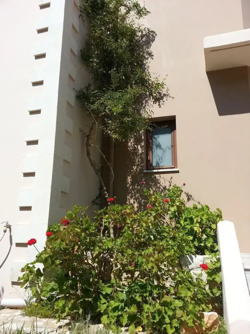 Villa Koula & Villa Alkyon