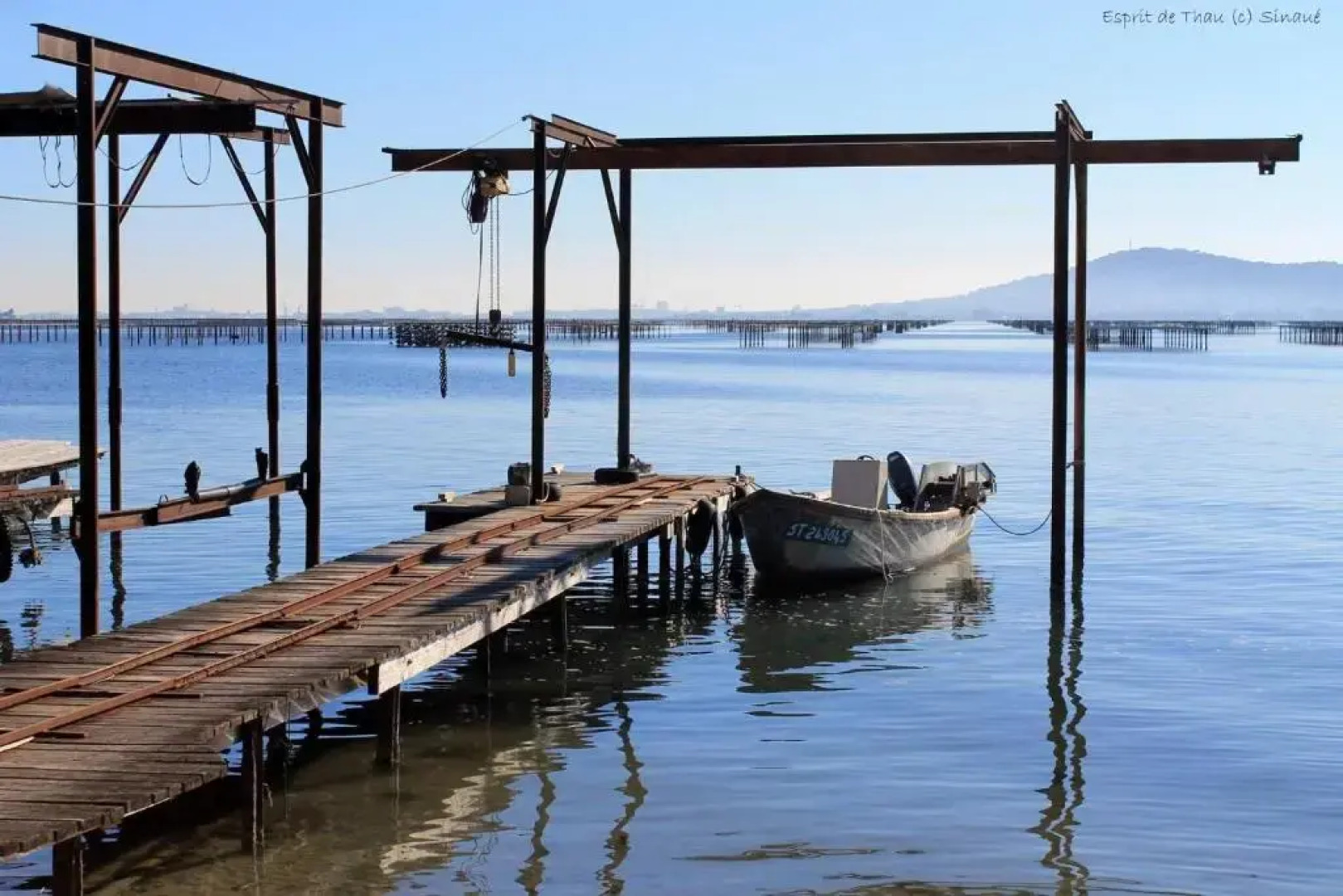 Gîte Le Palmier - Perfectly located cosy studio with private garden